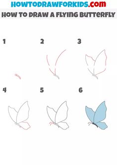 how to draw a flying butterfly with step by step instructions for kids and beginners