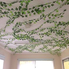 the ceiling is decorated with vines and leaves