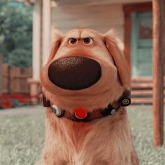 a dog with its mouth open and it's tongue out in front of the camera