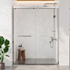 a bathroom with a shower, toilet and plant on the floor in front of it