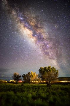 the night sky is filled with stars and trees