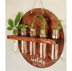 a wooden shelf with glass vases and plants in them hanging from it's sides