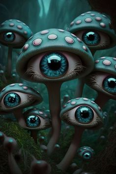 some blue eyes are in the middle of mushrooms with white dots on their faces and legs