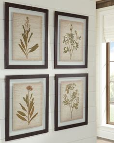 four framed flowers are hanging on the wall next to a window in a white room