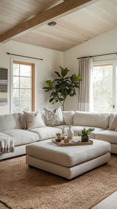 a living room filled with furniture and a large plant on top of a coffee table