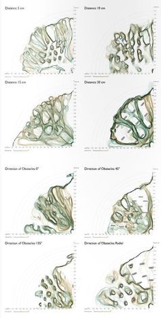 four different views of an animal's body and its surroundings are shown in this diagram