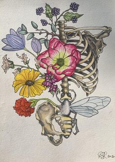 a drawing of a skeleton with flowers in it's ribcage is shown