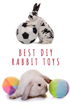 two rabbits are playing with balls and the words best diy rabbit toys above them