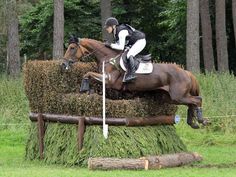 a horse and rider jumping over a hedge obstacle