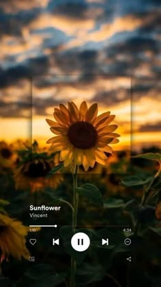 a sunflower is shown in front of the sky with other flowers and clouds behind it