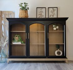 a black cabinet with glass doors and two plants on the top shelf next to it