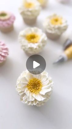 some cupcakes with white and yellow flowers on them