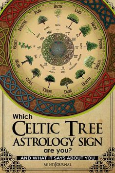 an advertisement for celtic tree astrology sign