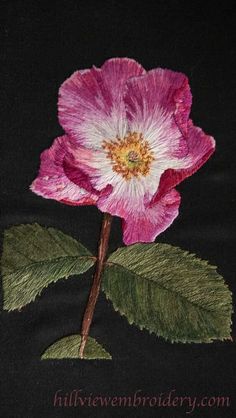 a pink flower with green leaves on a black background