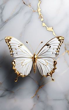 a white and gold butterfly on a marble surface