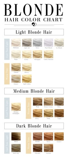 Different Types Of Blonde Hair, Different Types Of Blonde, Types Of Blonde Hair, Types Of Blonde, Blonde Hair Color Chart, Champagne Blond, Blonde Hair Colour Shades, Hair Chart