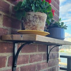 two potted plants are sitting on a shelf next to a brick wall with metal brackets