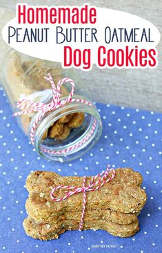 homemade peanut butter oatmeal dog cookies in a jar and tied with twine