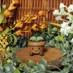 a small potted plant sitting on top of a tree stump in front of some flowers