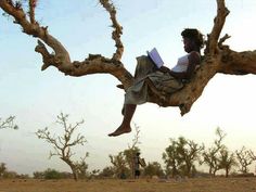 a person sitting in a tree with a book on their lap and looking up at the sky