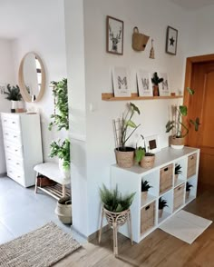 a living room filled with lots of plants on top of white shelves next to a wooden door