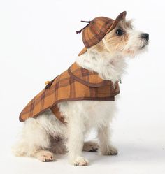 a small white dog wearing a brown plaid coat and hat with tassels on it's ears