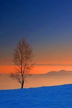 a lone tree stands in the middle of a snowy field at sunset with mountains in the distance