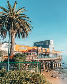 a palm tree sitting on top of a sandy beach next to the ocean in front of a restaurant