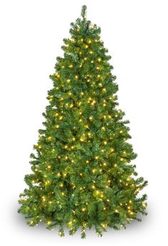 Commercial Olympia Pine LED Tree with Full profile 7.5' in height 65" base width 850 Warm White LED lights 5MM wide angle bulbs cast brilliant soft light Long lasting LED lights remain cool to the touch If one bulb goes out the rest stay lit 1847 Green PVC Rounded tips Hinged construction for easy setup Includes: Rolling Metal Stand Flame retardant and non-allergenic Trees Types, Best Artificial Christmas Trees, Types Of Christmas Trees, Tree With Lights, Photo Cutout, Warm White Lights, Christmas Tree Sale, Prelit Tree, Pine Christmas Tree