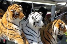 three stuffed tigers hanging from strings in front of a tent