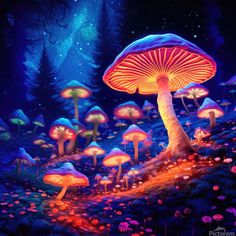 a painting of mushrooms in the forest at night