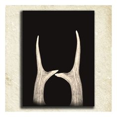 two horns are shown against a black background