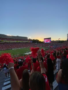 a stadium full of people with red pom poms in their hands at sunset