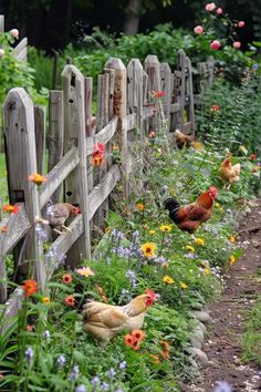 several chickens are walking around in the grass near a wooden fence and flower garden area