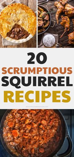 the cover of 20 scrumptious squirrel recipes, including meats and vegetables