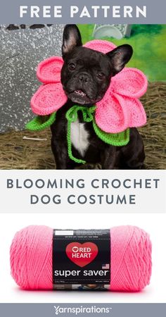 a dog wearing a pink crochet flower costume with text that reads, blooming crochet dog costume