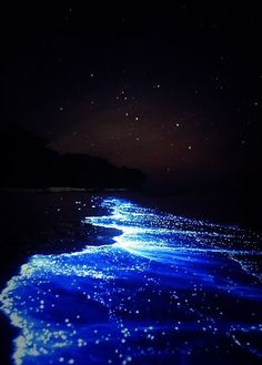 the water is very dark and blue with stars in the night sky above it, as seen from an ocean shore