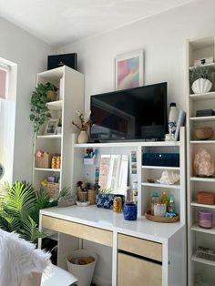 a television is on top of a white shelf in a room with plants and other items