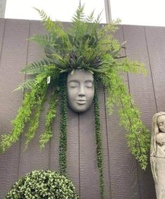 there is a statue with plants growing out of it's head on the wall