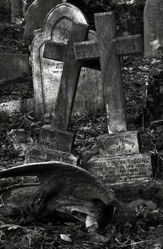 black and white photograph of headstones in a cemetery