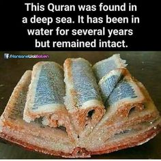 there are four pieces of bread stacked on top of each other with the words, this quran was found in a deep sea it has been in water for several years but remains intact