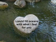 a heart shaped rock sitting in the middle of a pond