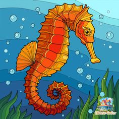 an orange seahorse sitting on top of the ocean