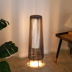 a lamp that is on top of a table next to a plant in a room