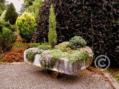 an old concrete bench covered in moss and other greenery next to a tall bush