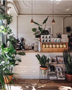 the interior of a coffee shop with potted plants