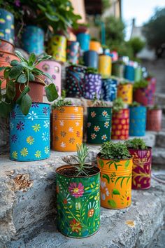 many colorful pots with plants in them on the ground