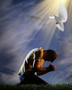 a man kneeling down in front of a white dove flying over his head, with the sun shining behind him