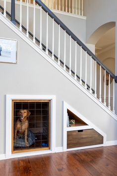 a dog is sitting in his kennel under the stairs