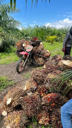 a man standing next to a pile of palm trees on top of a dirt road